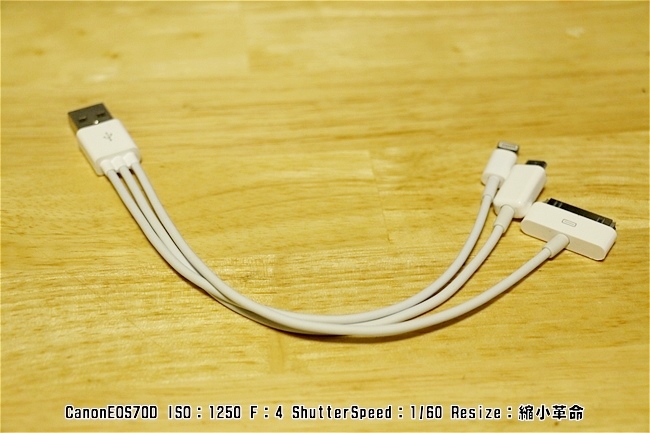s-dIMG_4946