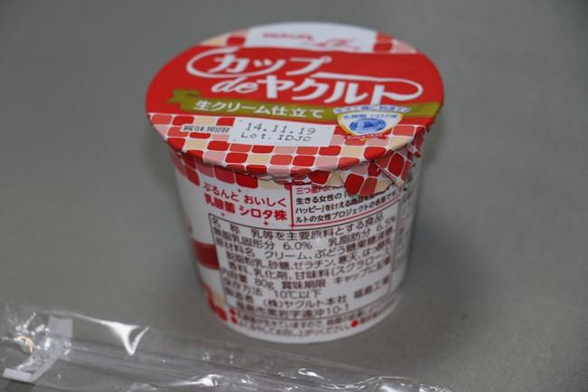 s2-dsIMG_5875