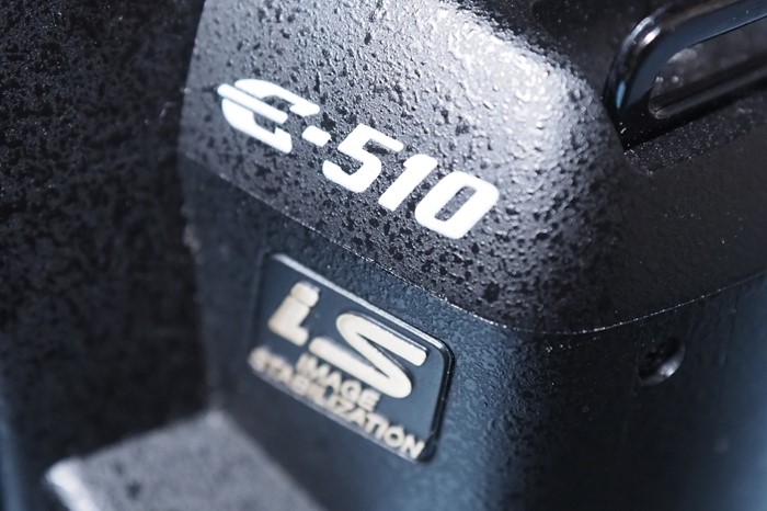 s-P2100001