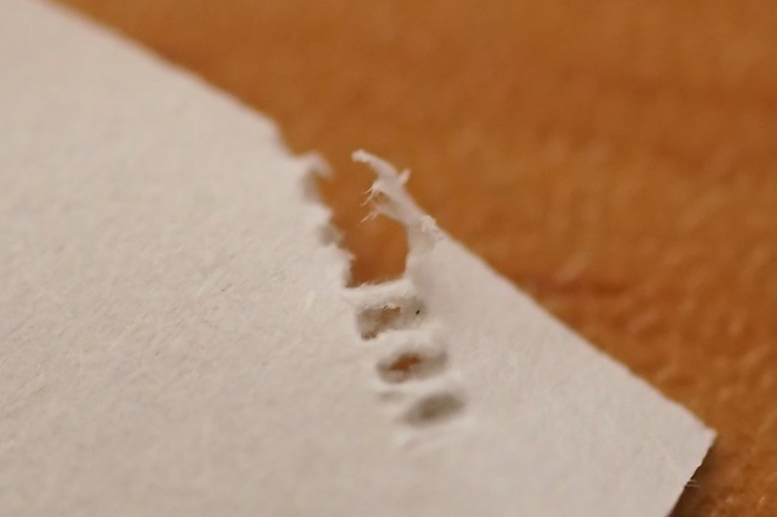 s-P3030167