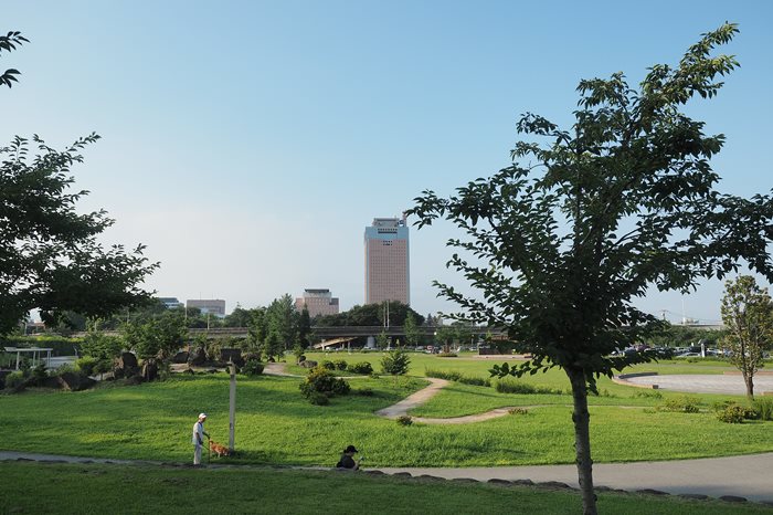s-P7310088